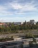 IMG_1783.jpeg