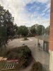 IMG_6029.jpeg