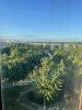 IMG_4843.jpeg