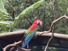 IMG_6155.jpeg