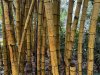IMG_6161.jpeg
