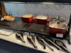 IMG_6165.jpeg