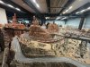 IMG_8234.jpeg