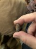IMG_8304.jpeg