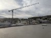 IMG_8501.jpeg