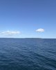 IMG_1976.jpeg