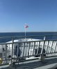 IMG_1979.jpeg