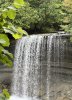 IMG_1991.jpeg