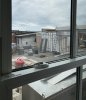 IMG_2020.jpeg
