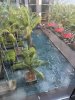 IMG_1564.jpeg