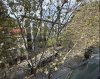 IMG_0149.jpeg