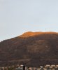 IMG_2149.jpeg