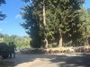 IMG_8519.jpeg