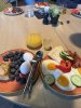 IMG_1866.jpeg