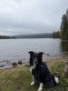 IMG_1814.jpeg