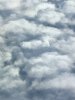 885A15DC-C752-410D-B31B-258D57172E9D.jpeg