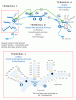 EWR_TerminalMap_v_alm13972.gif