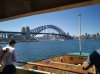 harbour brigde manly.jpg