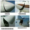 the-laughing-airplane-meme.jpg